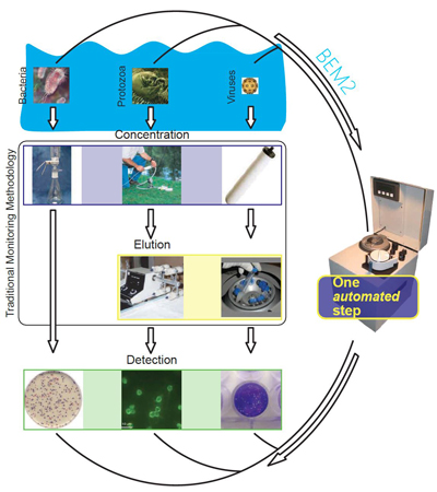 BEM2 Process 400
